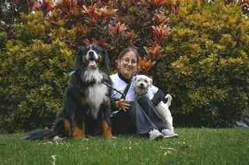 Ansiedad por separación en perros: cómo identificarla y trabajarla